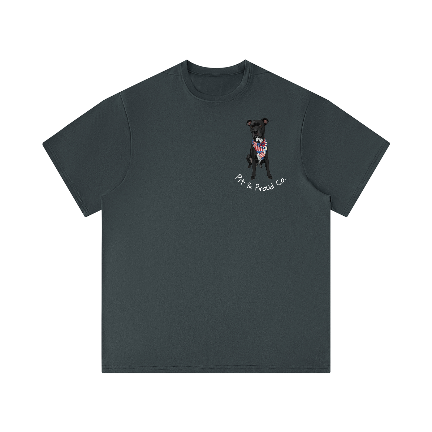 Men's Performance Regular Fit T-Shirt