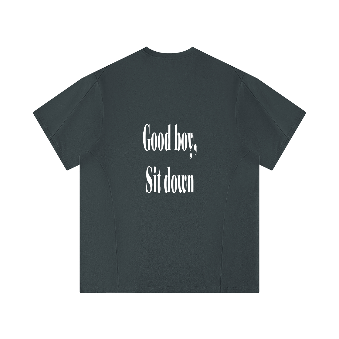 Men's Performance Regular Fit T-Shirt